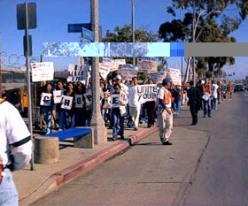 peach march Pain Violence